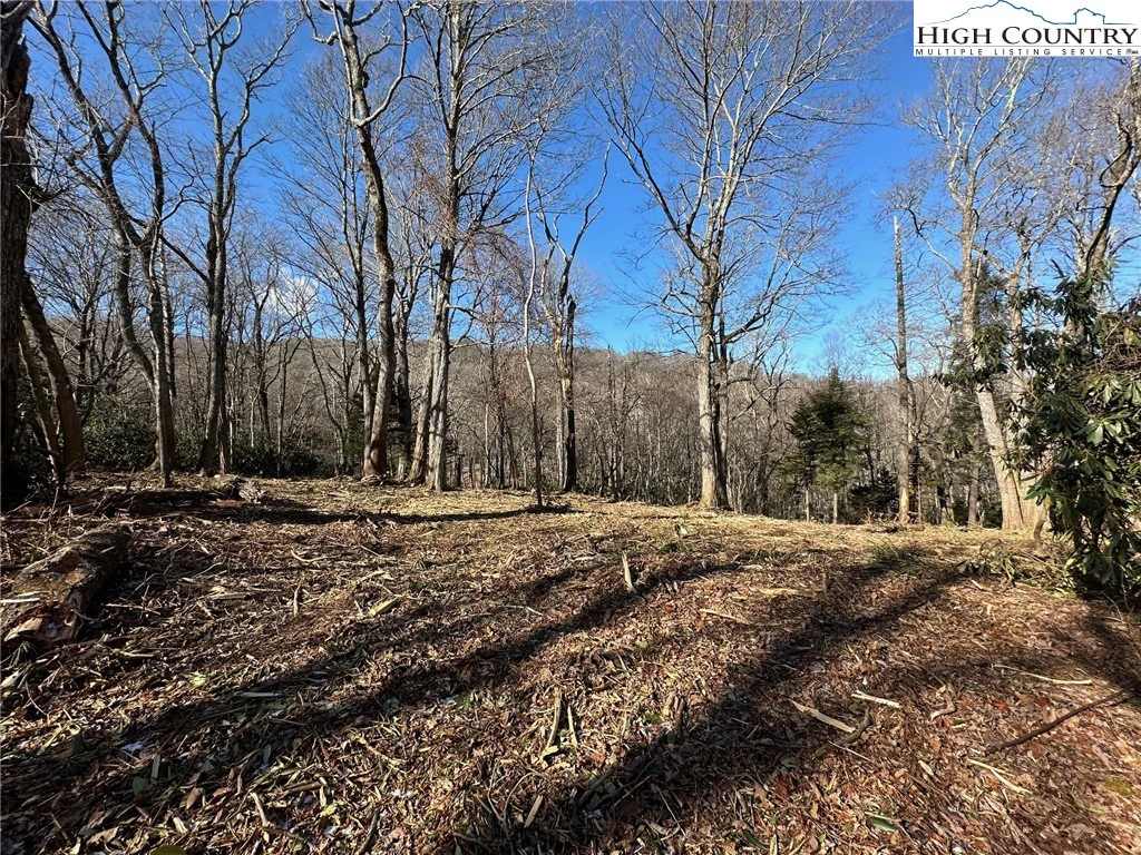 Image number 4 for the current listing