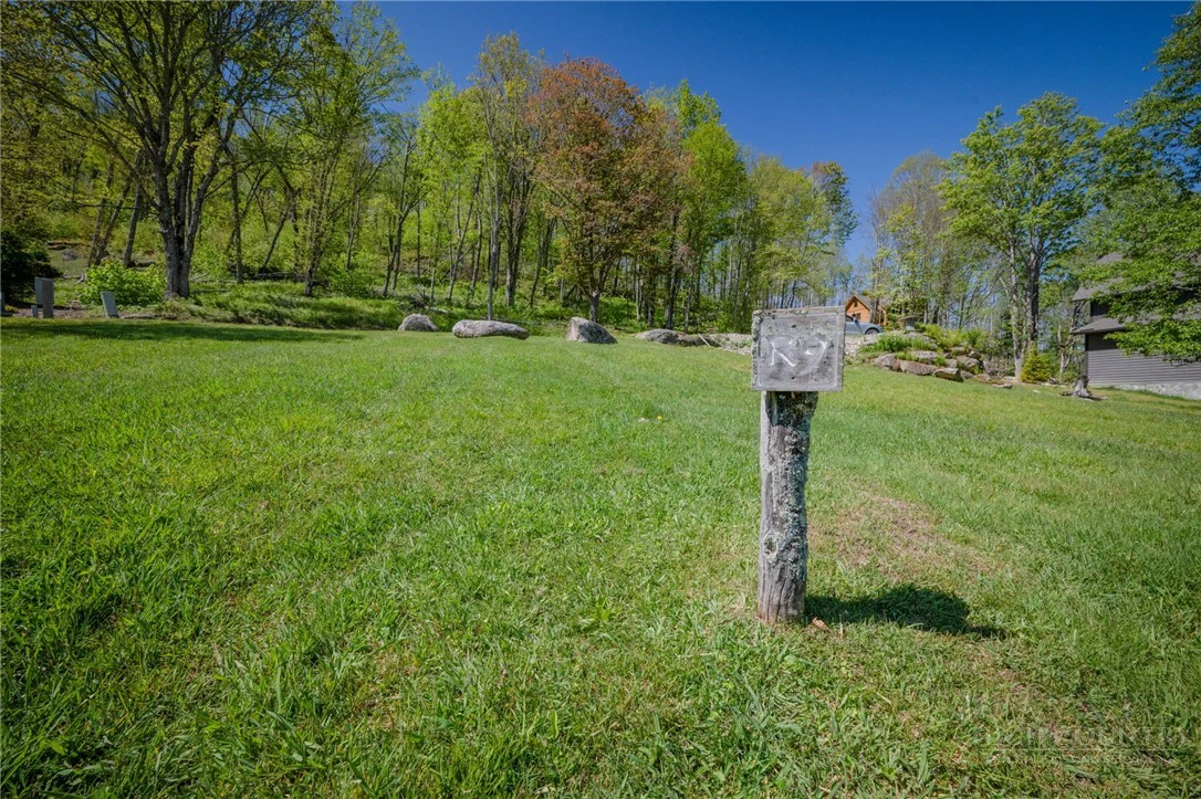 Image number 1 for the current listing