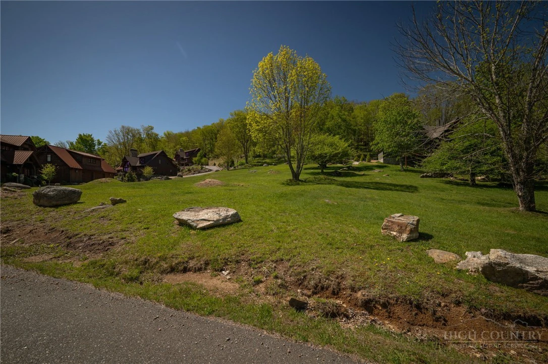 Image number 4 for the current listing