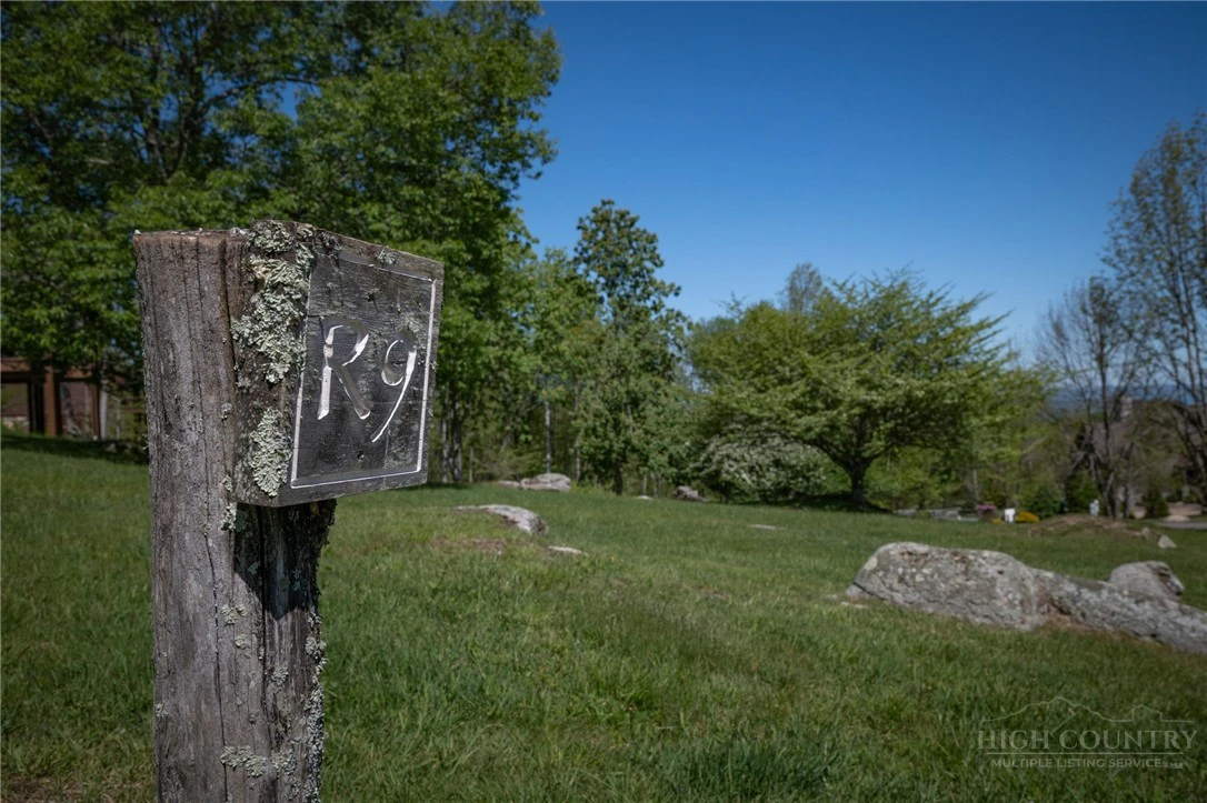 Image number 5 for the current listing