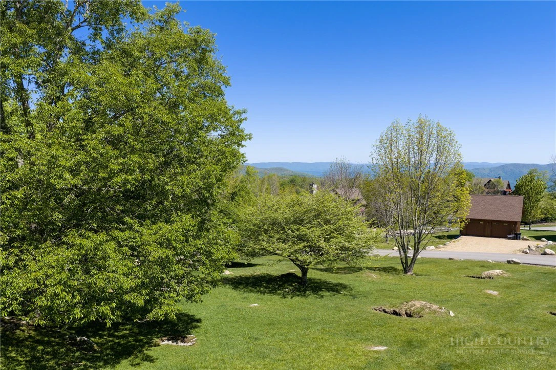 Image number 11 for the current listing