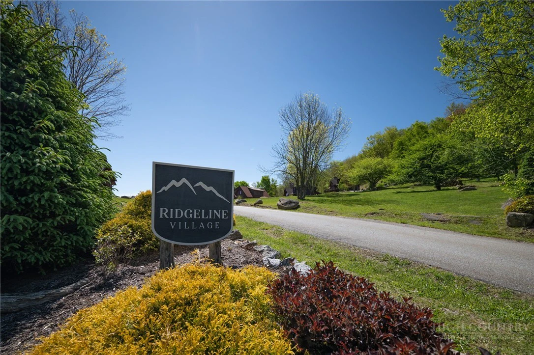 Image number 12 for the current listing