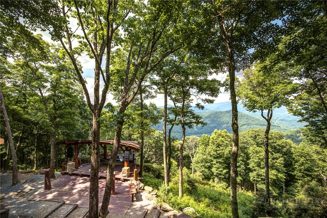 Image number 16 for the current listing