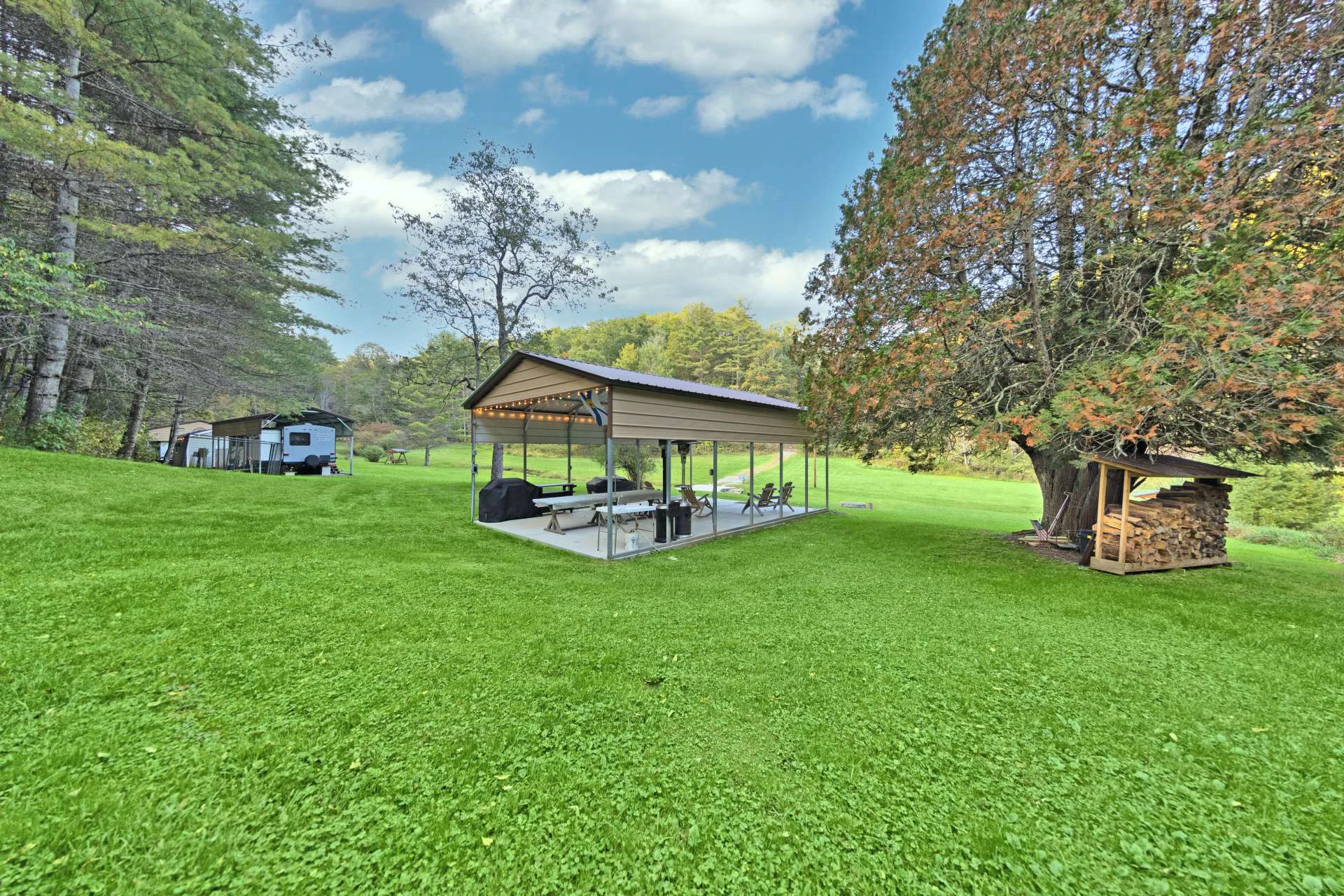 Image number 12 for the current listing