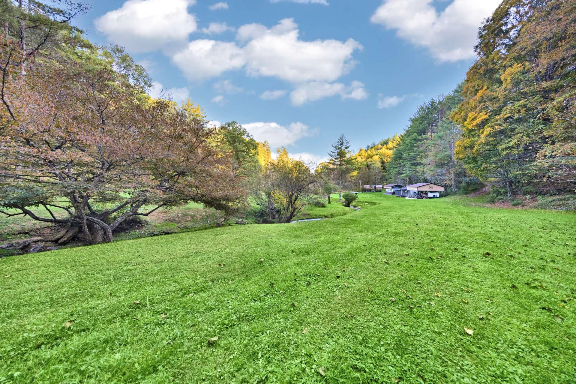 Image number 5 for the current listing