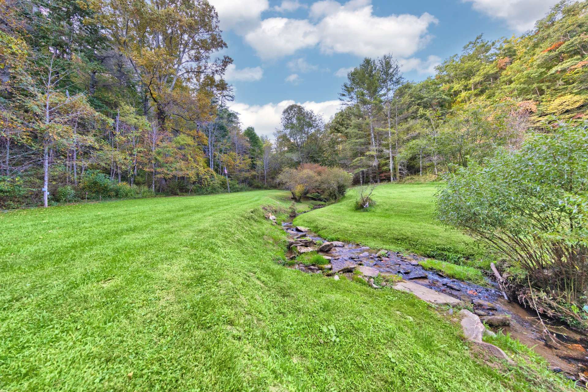 Image number 7 for the current listing