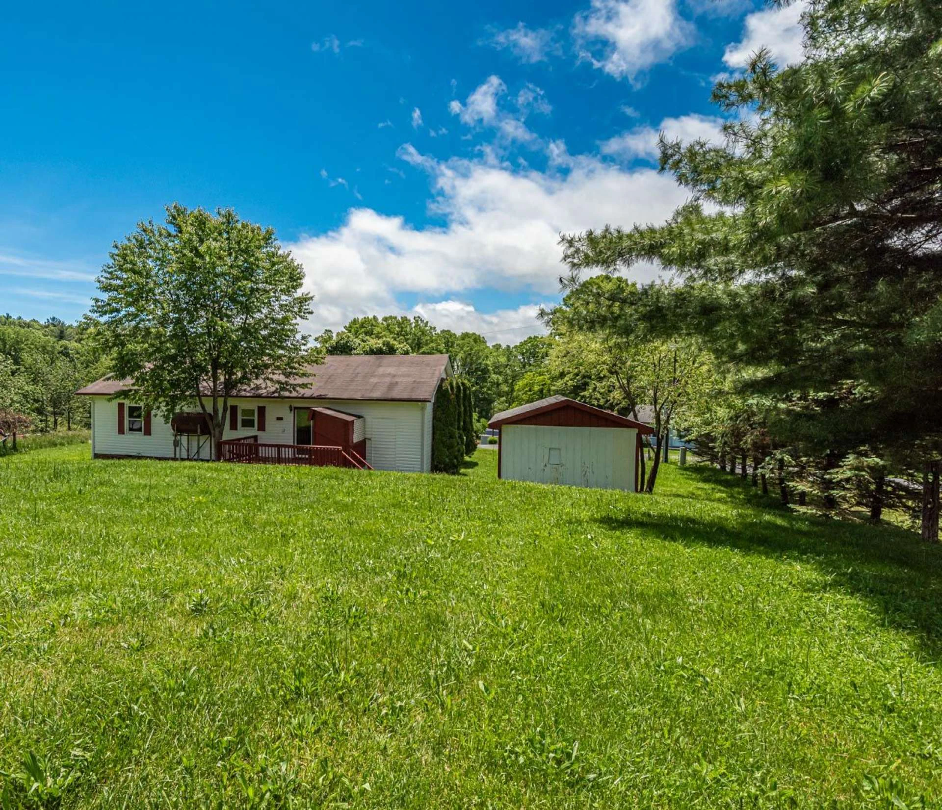 Image number 14 for the current listing