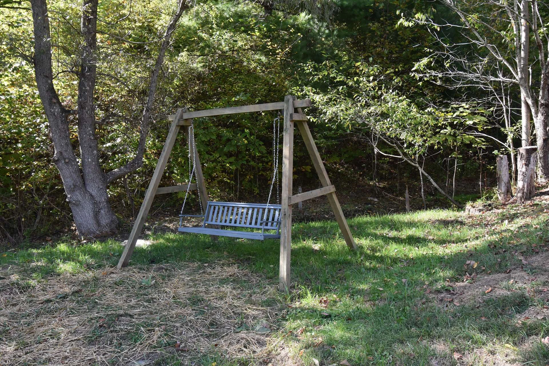 Image number 6 for the current listing