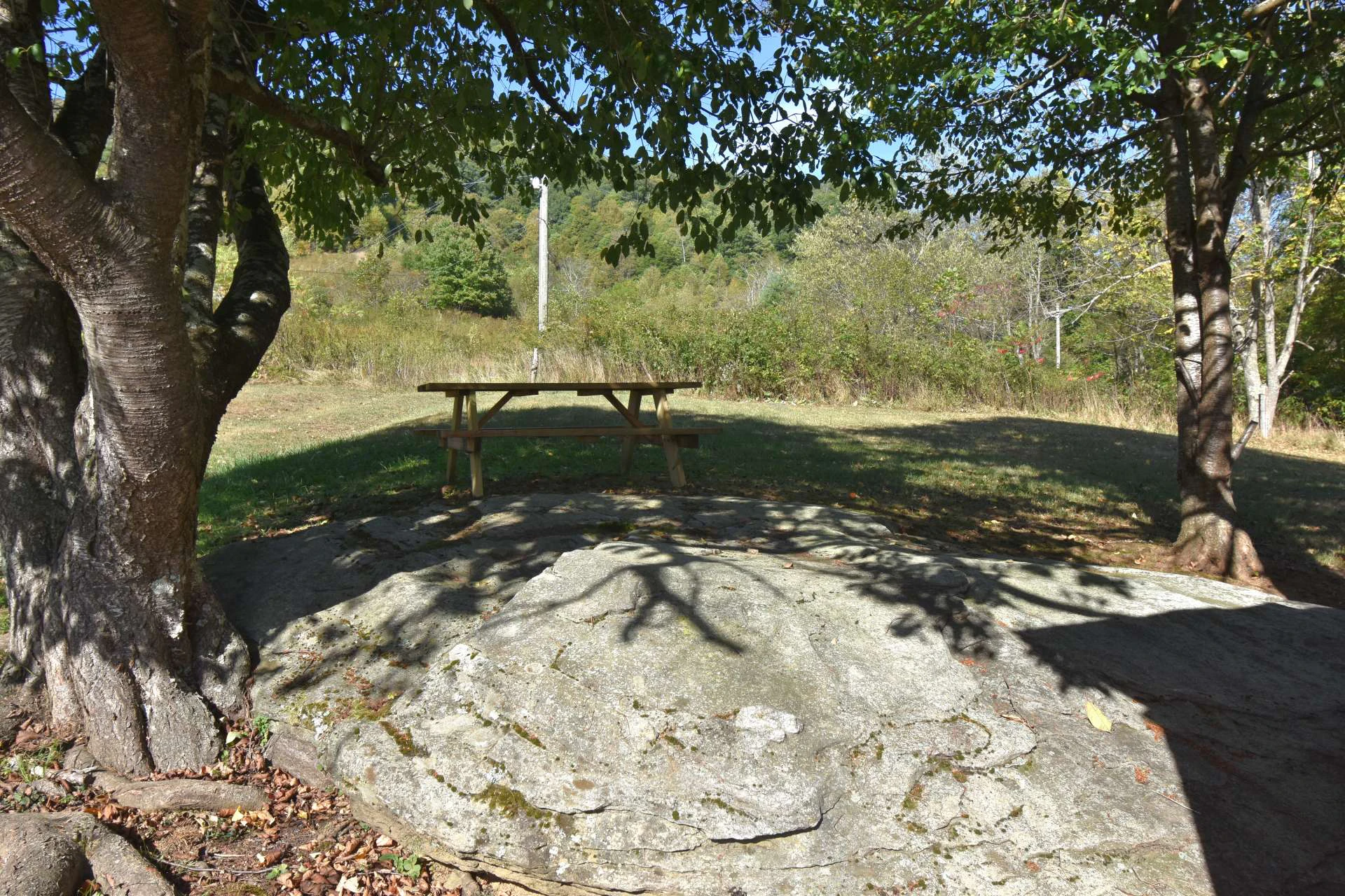 Image number 5 for the current listing