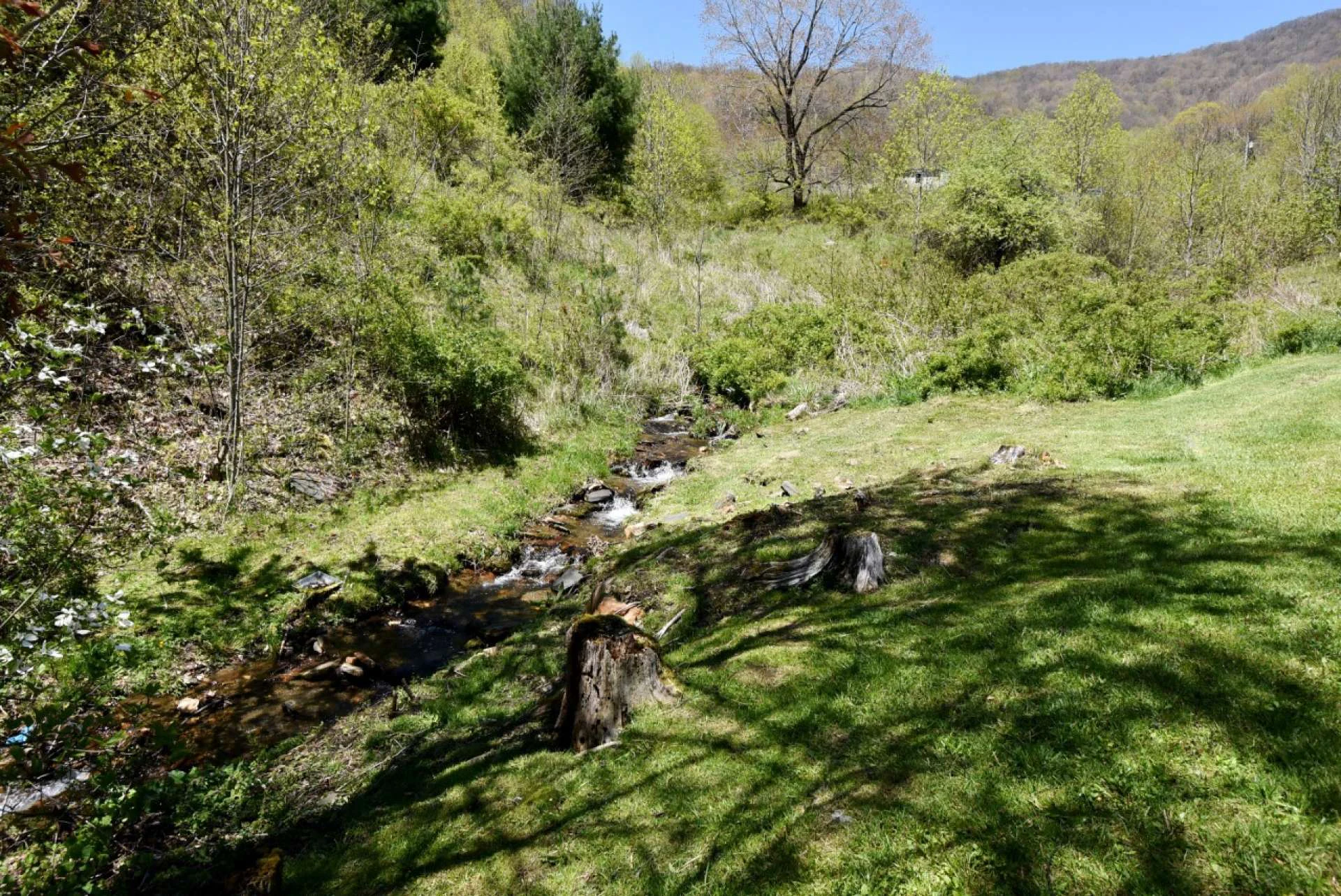 Image number 7 for the current listing