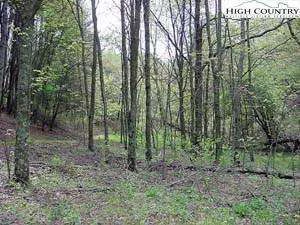 Image number 1 for the current listing