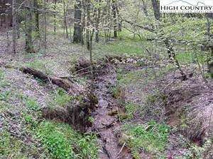 Image number 3 for the current listing
