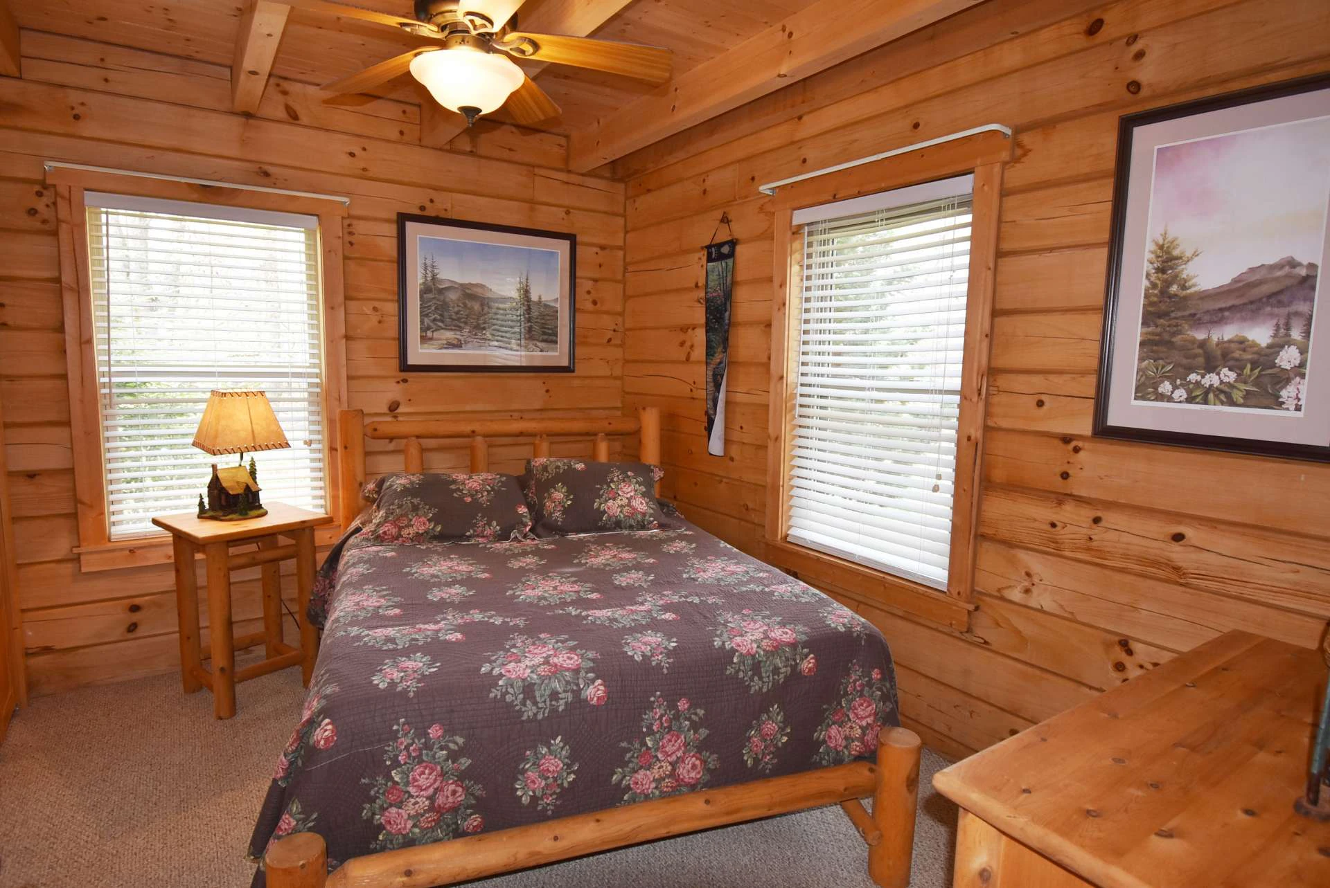 Image number 12 for the current listing