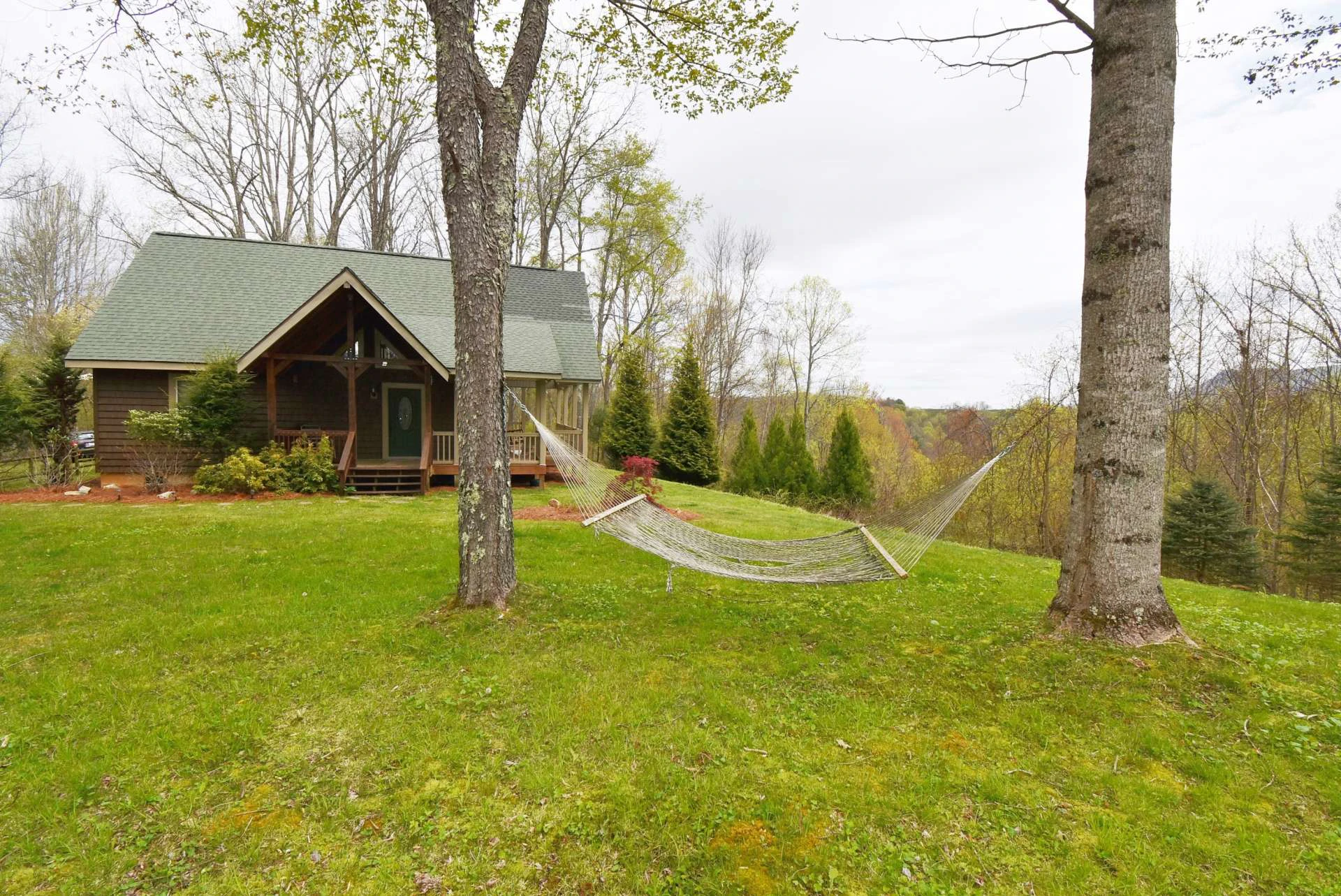 Image number 4 for the current listing