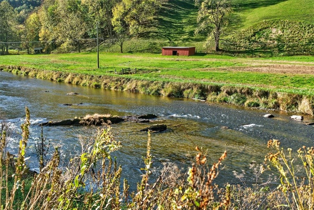 Image number 2 for the current listing