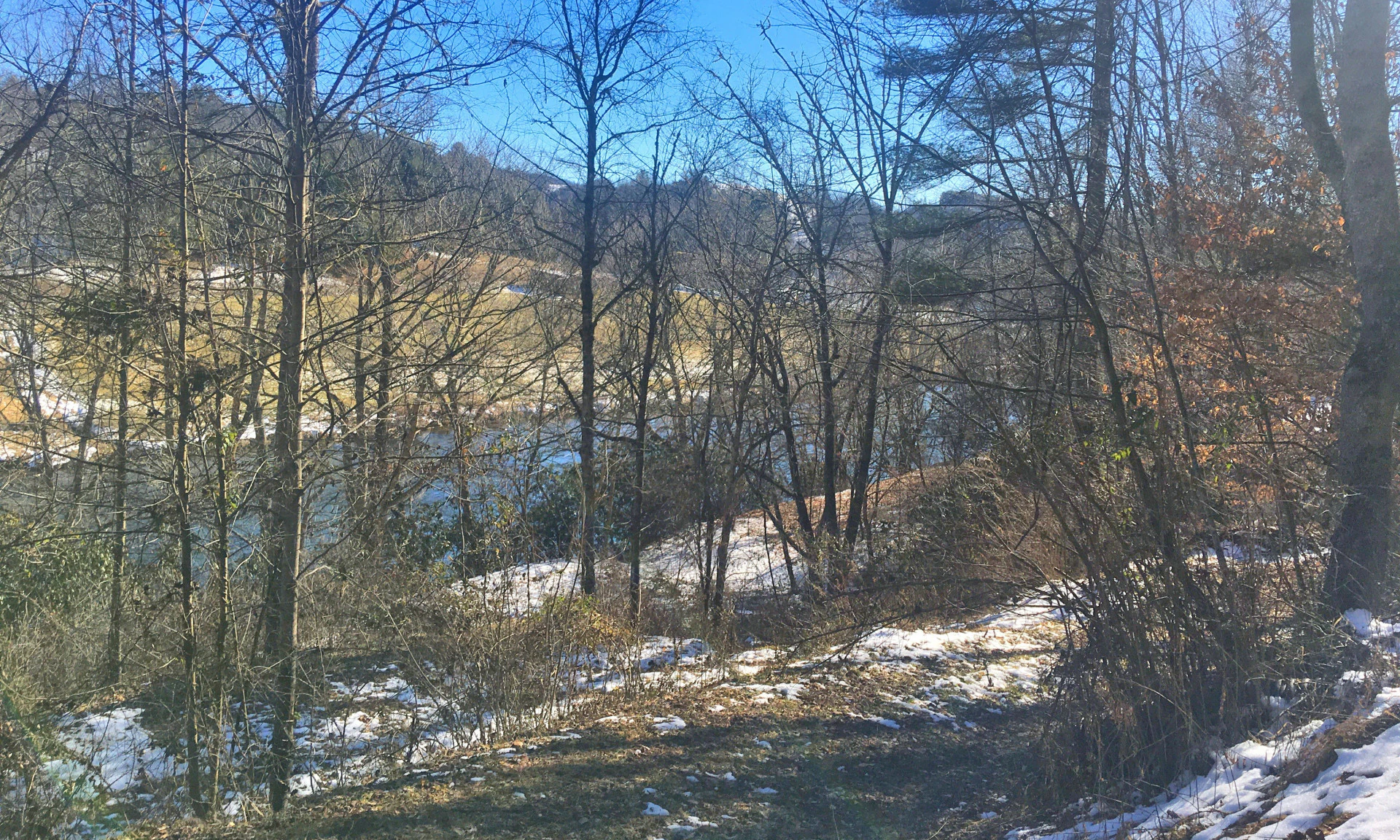 Image number 1 for the current listing