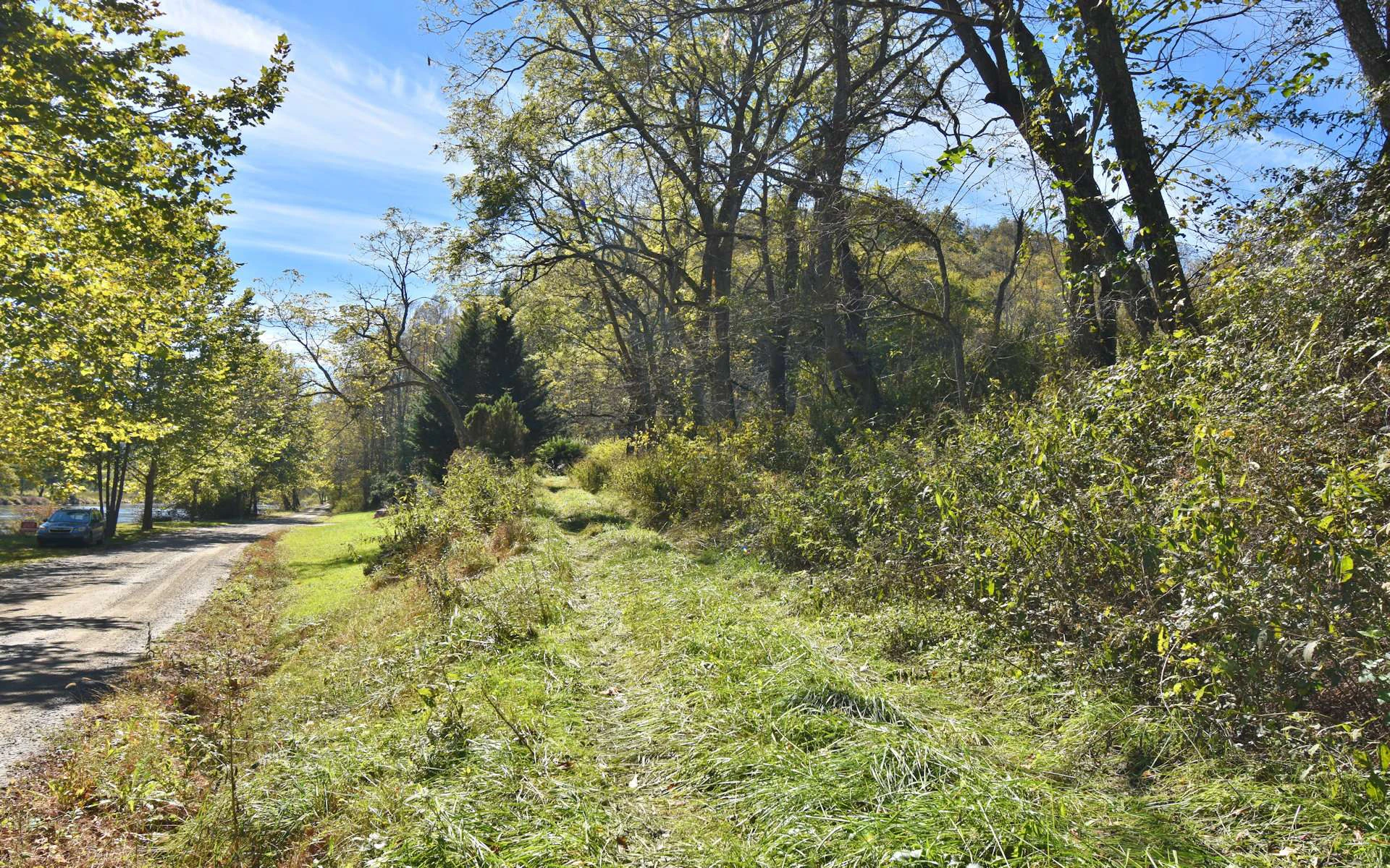 Image number 2 for the current listing