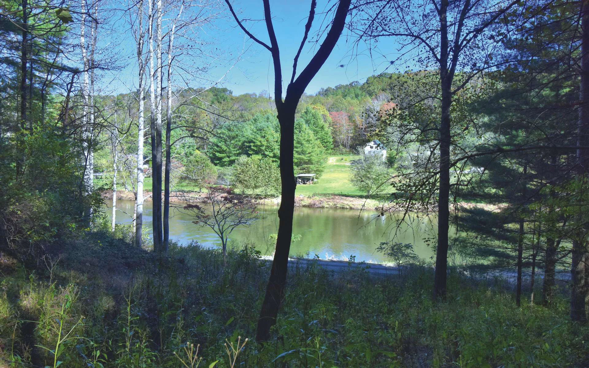 Image number 15 for the current listing