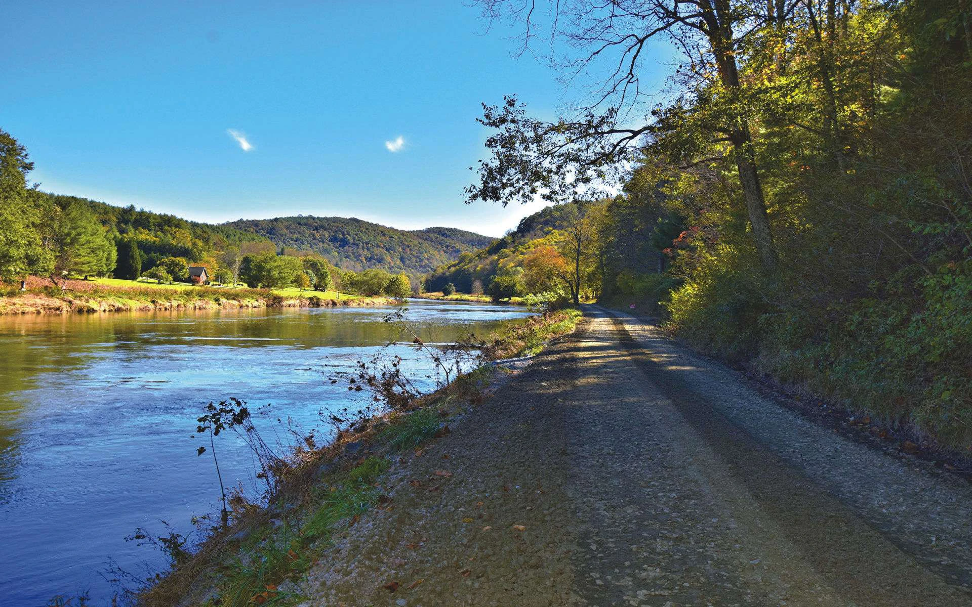 Image number 14 for the current listing