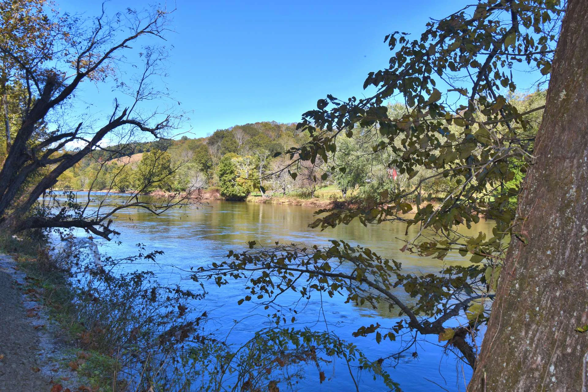 Image number 13 for the current listing