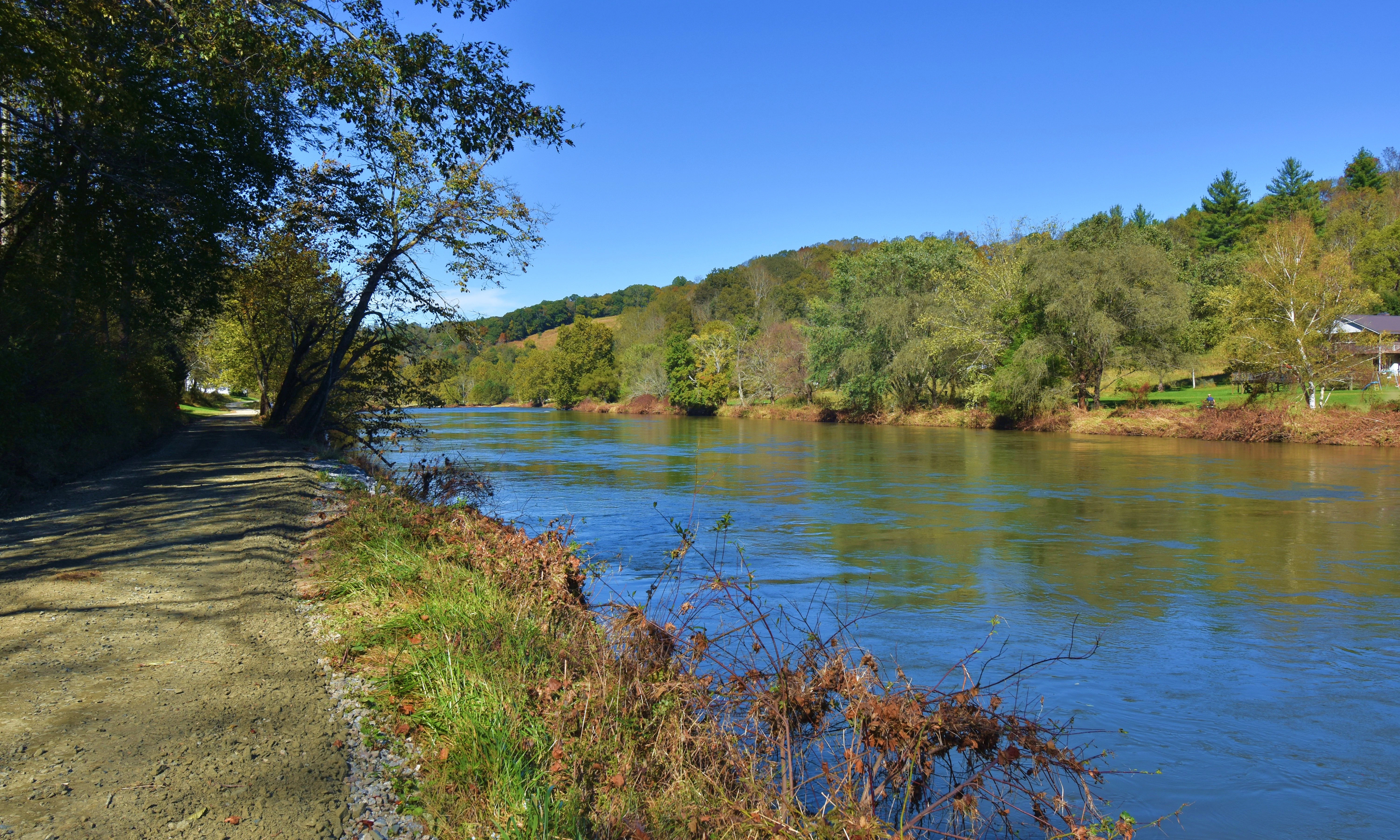 Image number 1 for the current listing