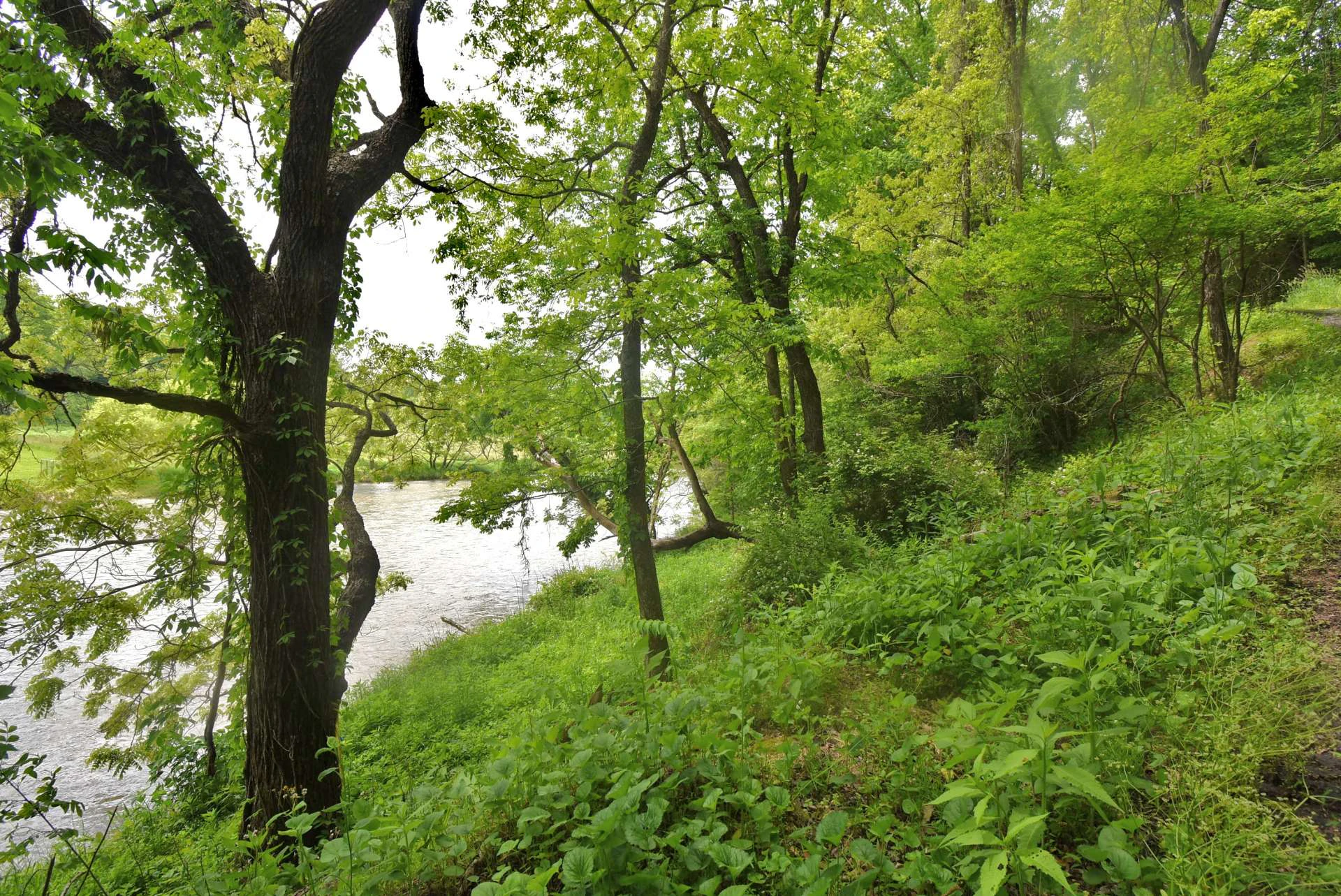 Image number 3 for the current listing