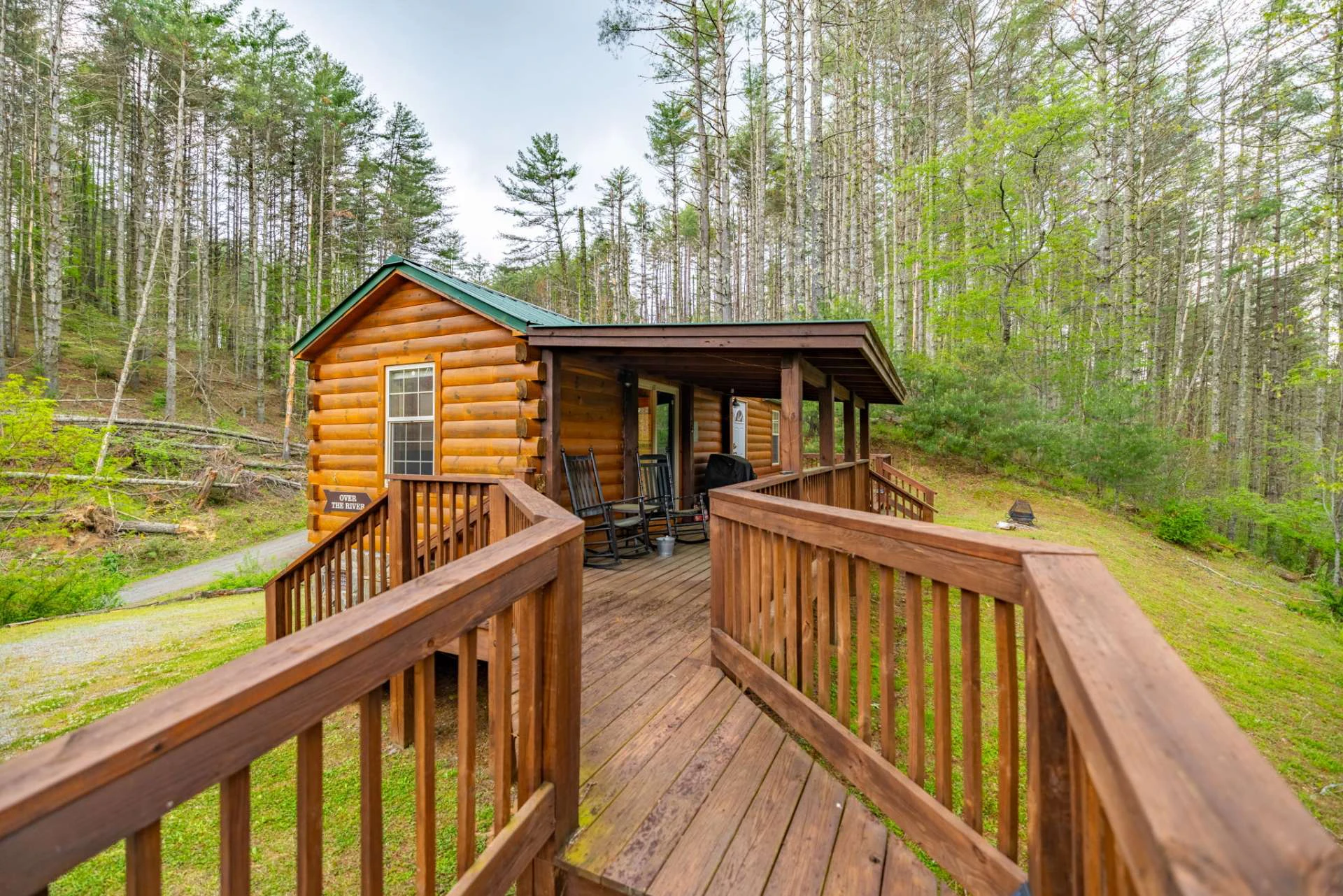 Image number 6 for the current listing