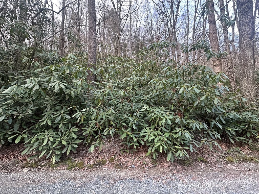 Image number 1 for the current listing