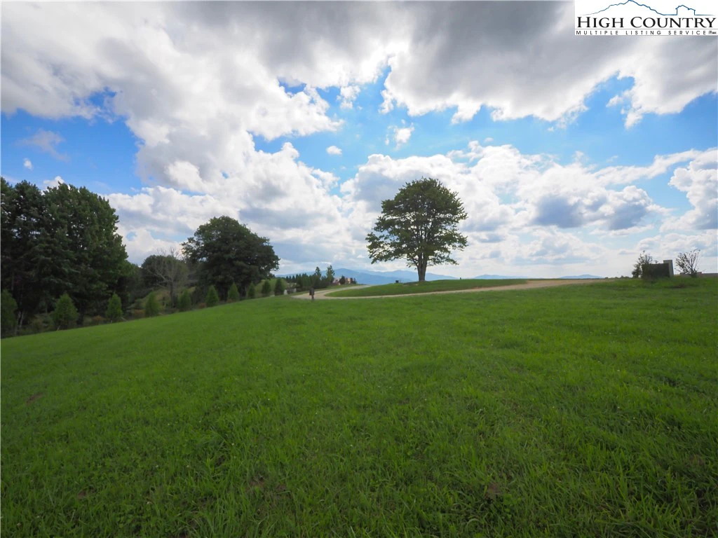 Image number 5 for the current listing