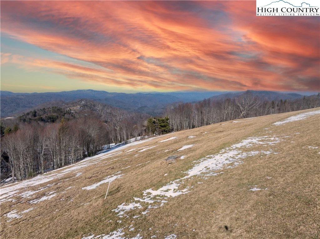 Image number 1 for the current listing