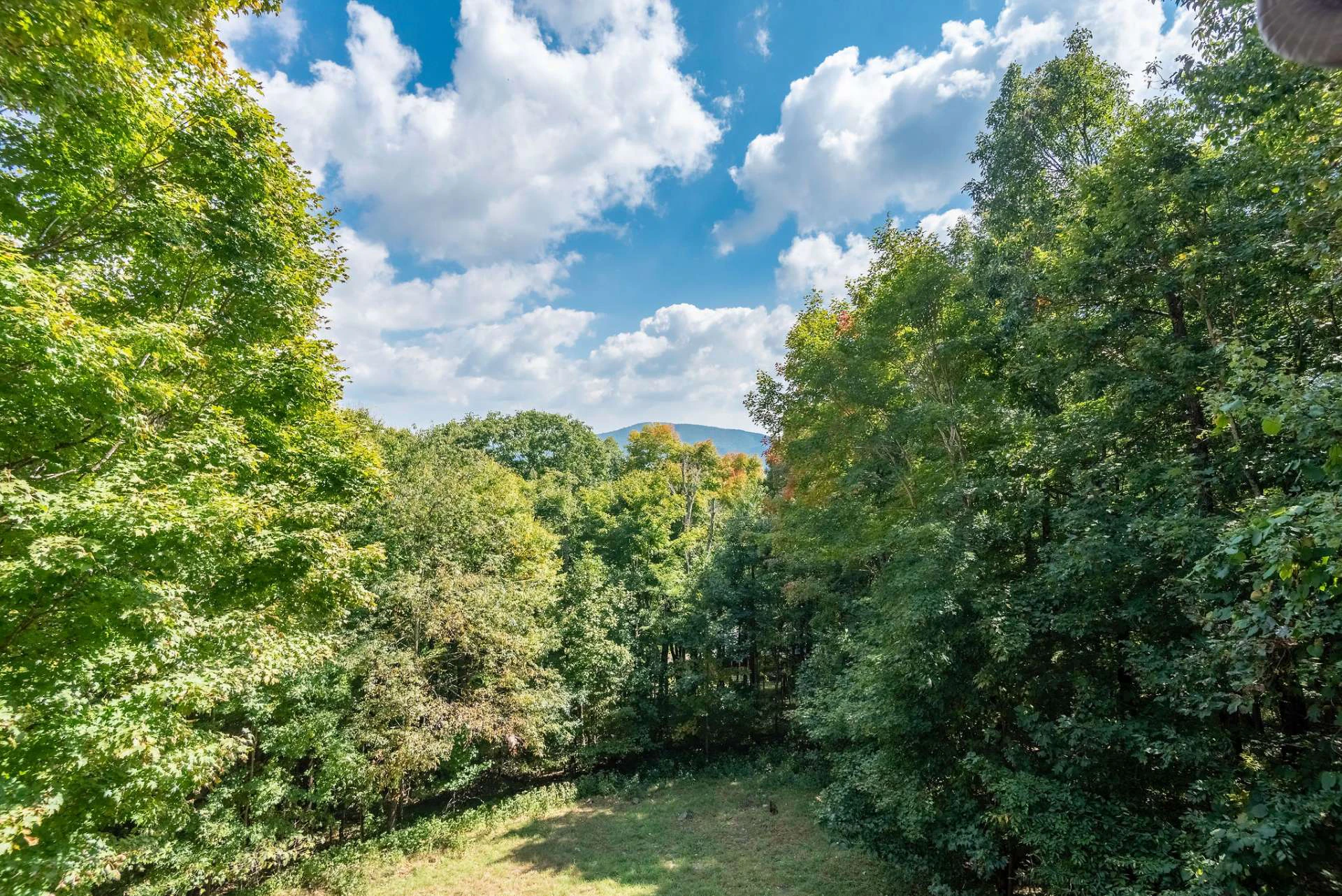 Image number 16 for the current listing