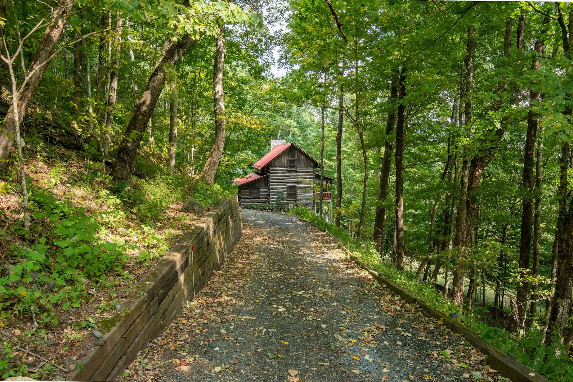 Image number 17 for the current listing