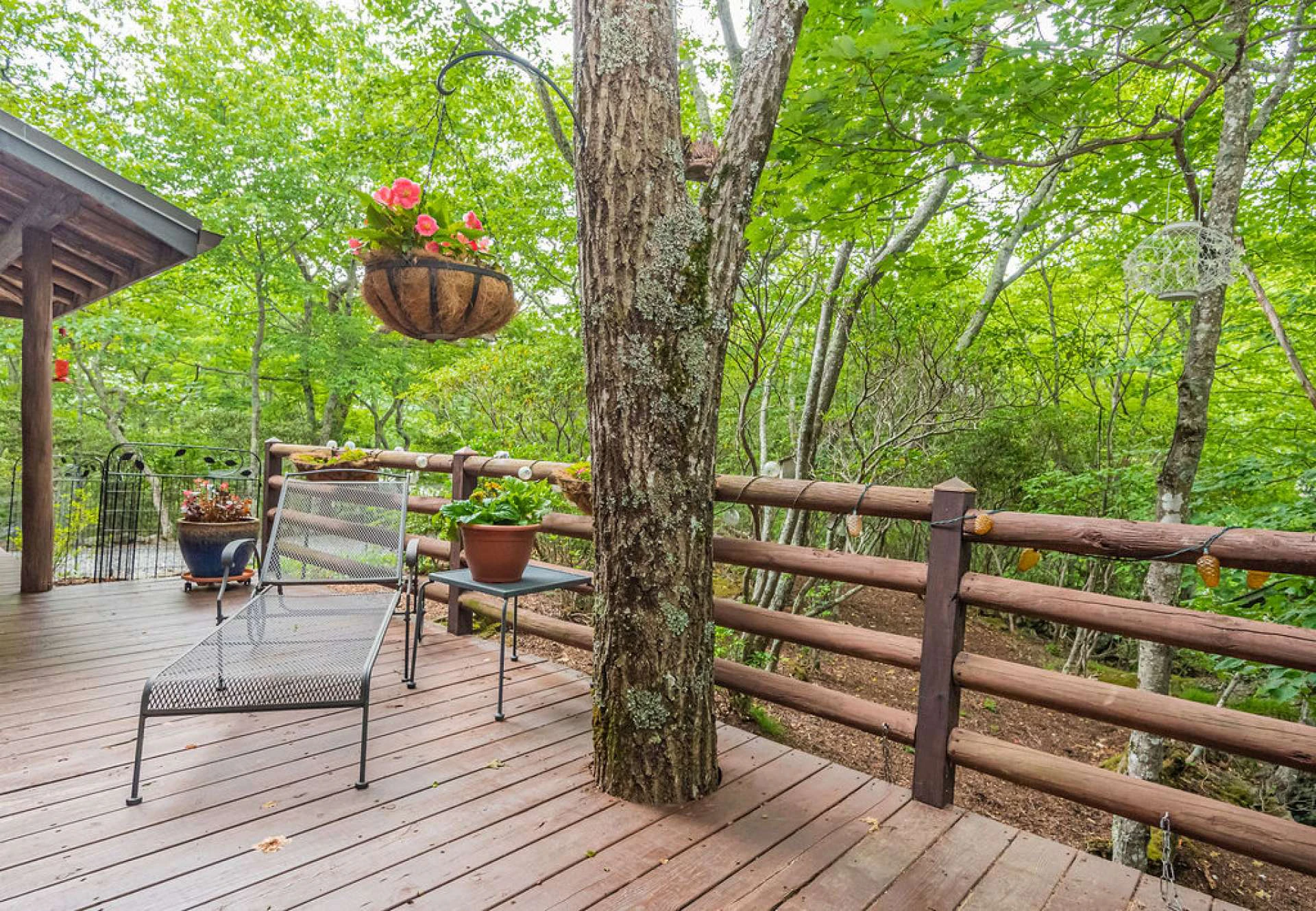 Image number 19 for the current listing