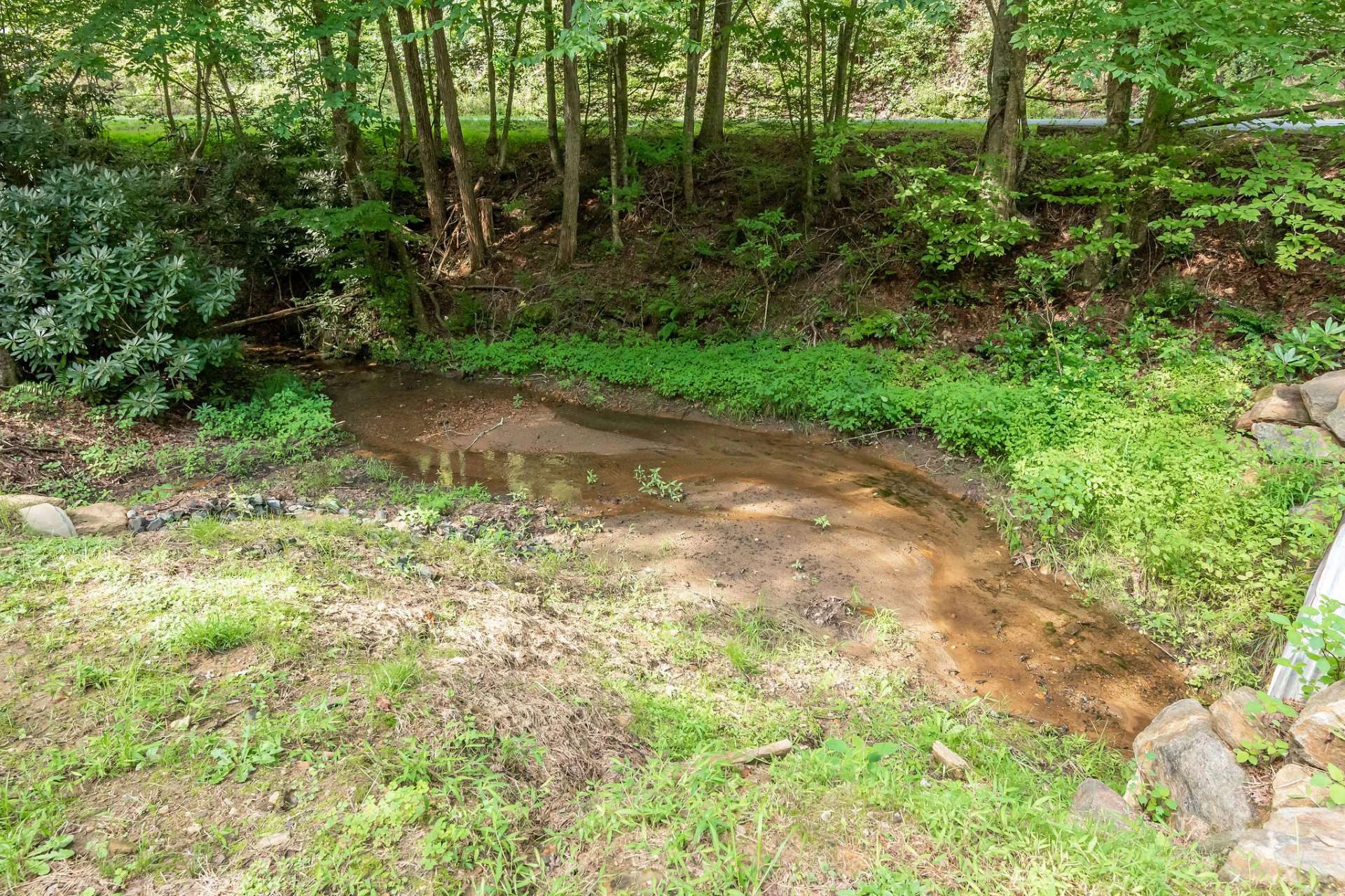 Image number 10 for the current listing