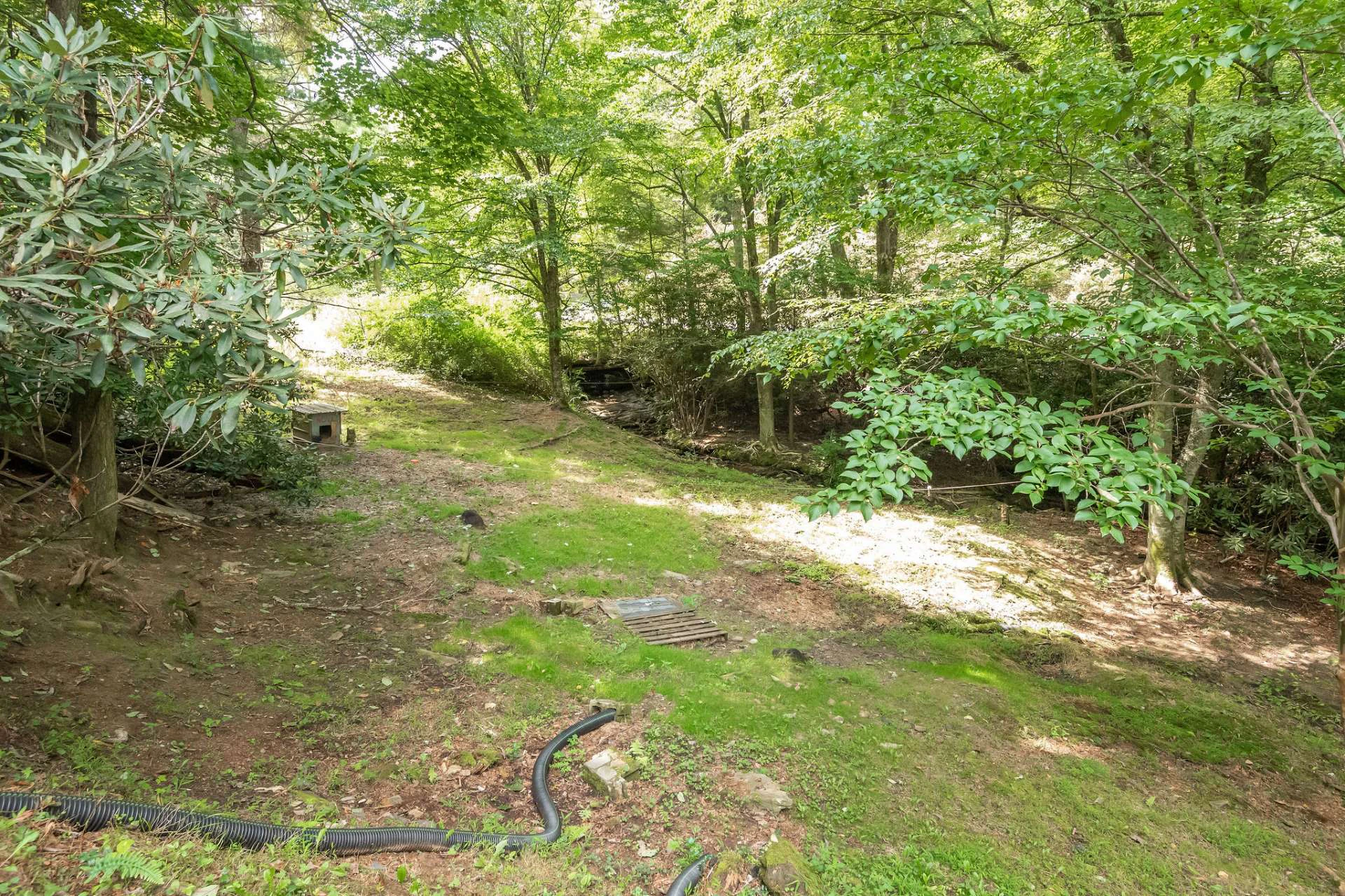 Image number 14 for the current listing