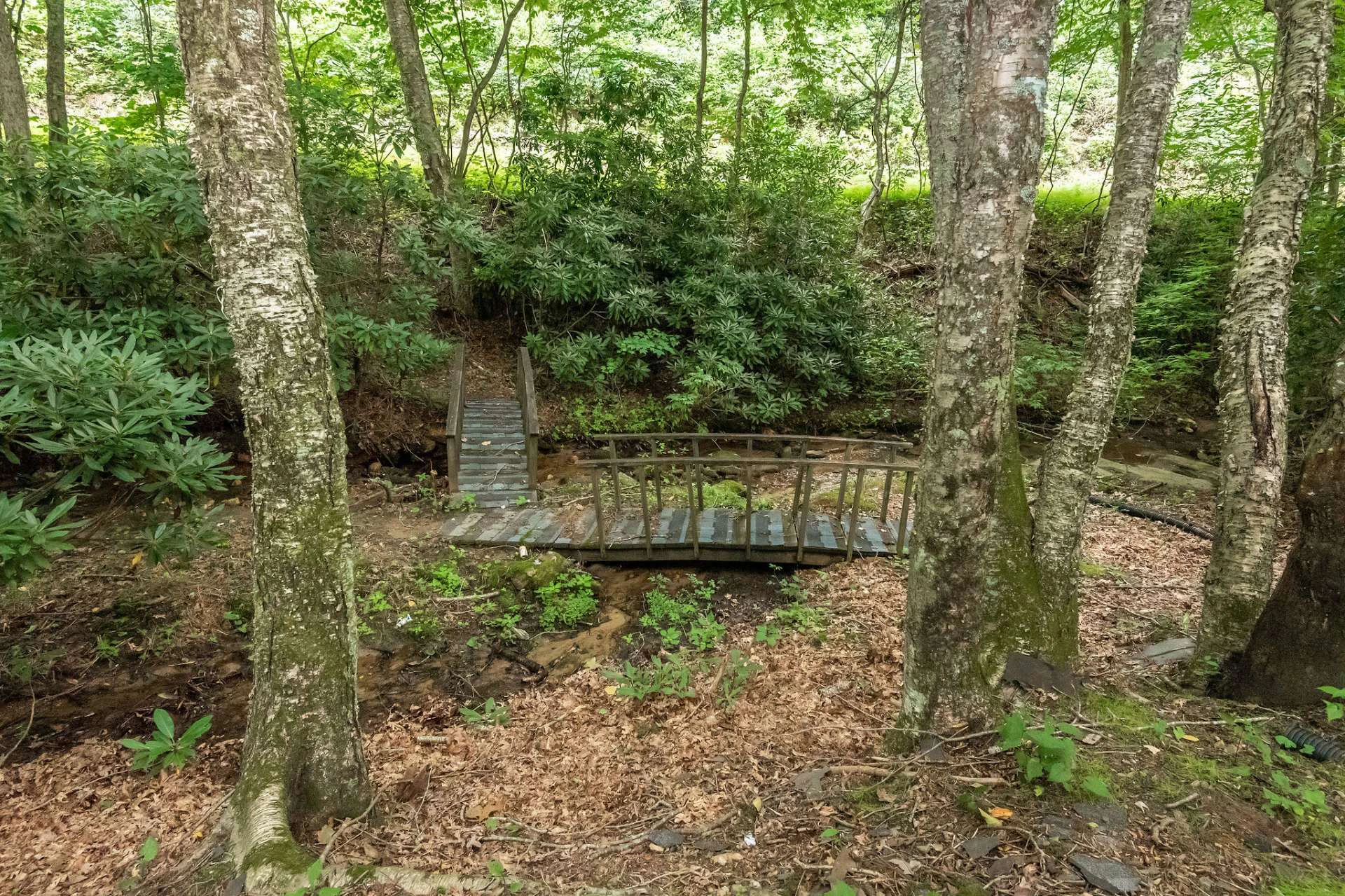 Image number 20 for the current listing