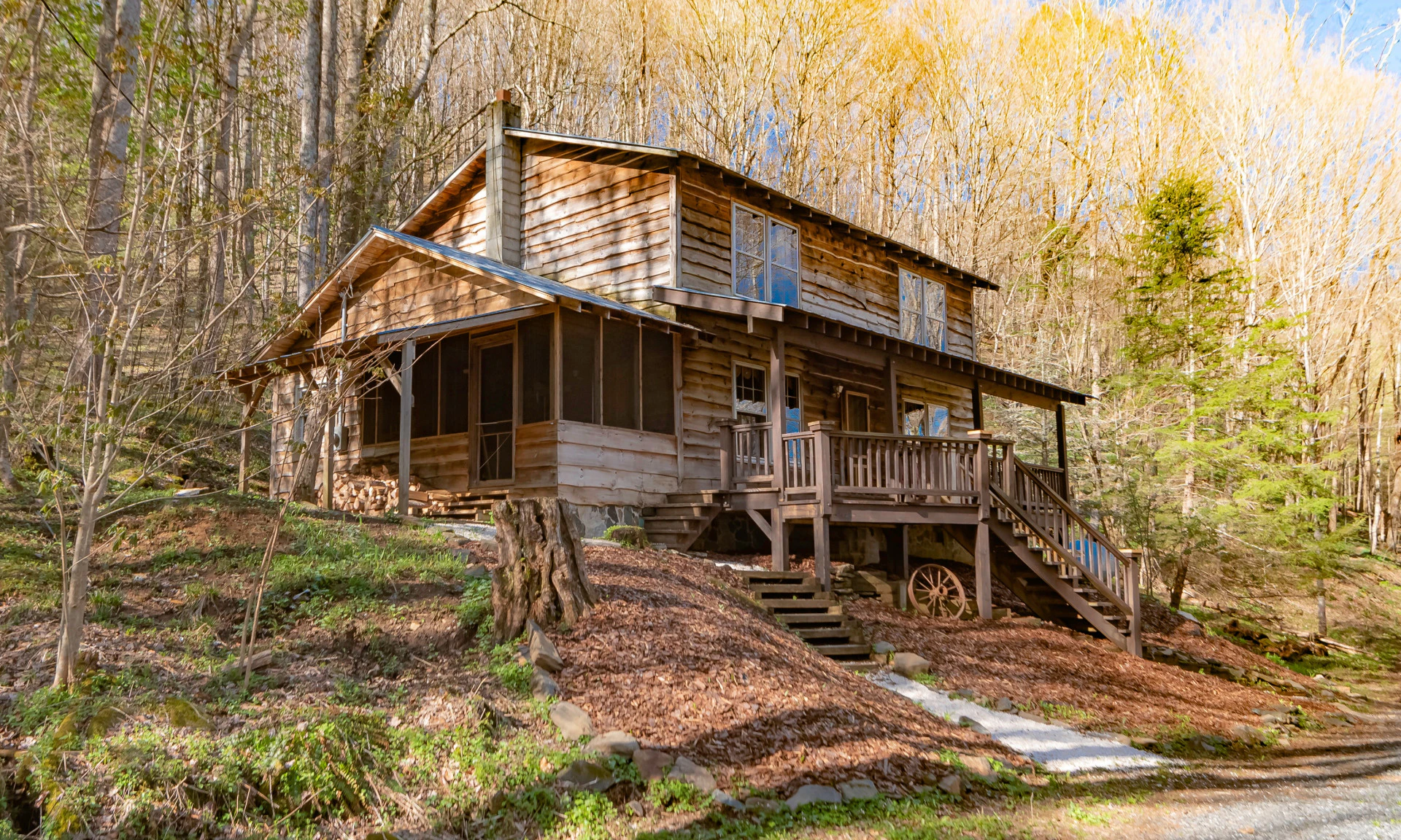 Image number 1 for the current listing