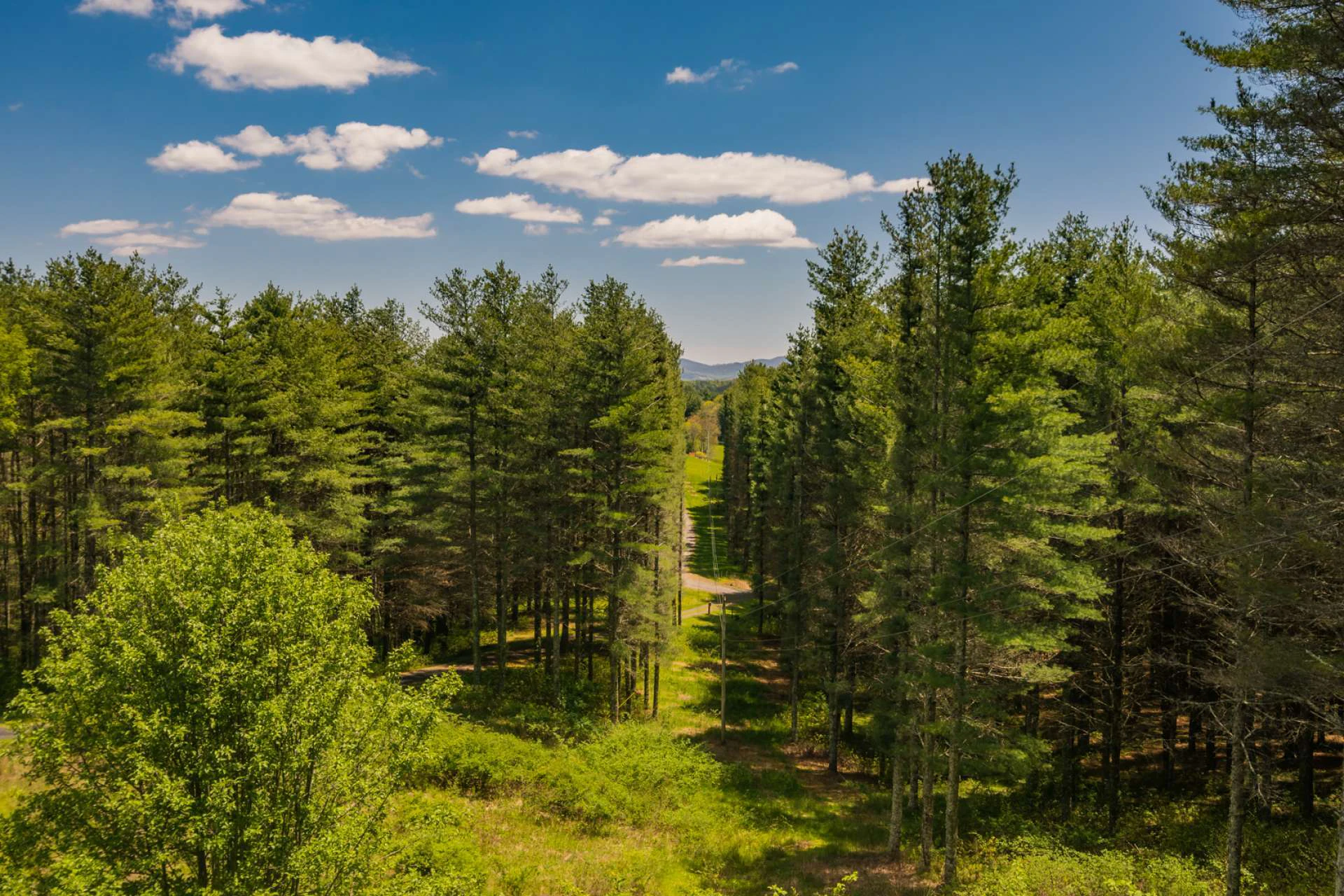 Image number 7 for the current listing