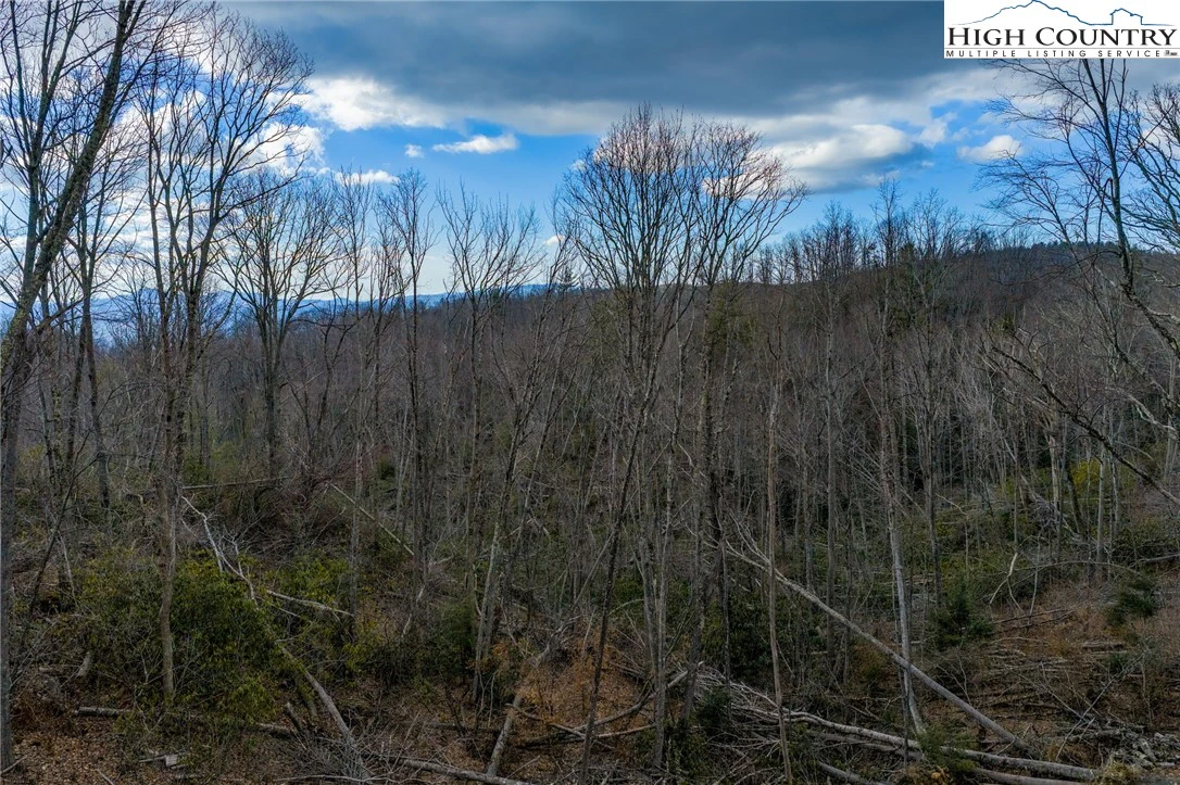Image number 1 for the current listing