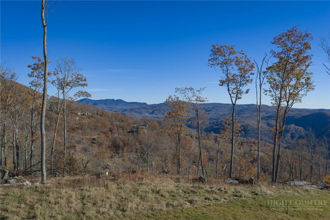 Image number 1 for the current listing