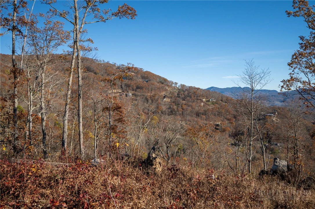 Image number 10 for the current listing