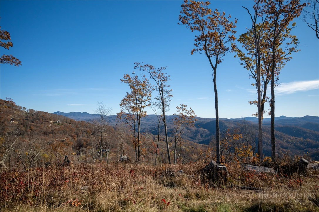 Image number 12 for the current listing