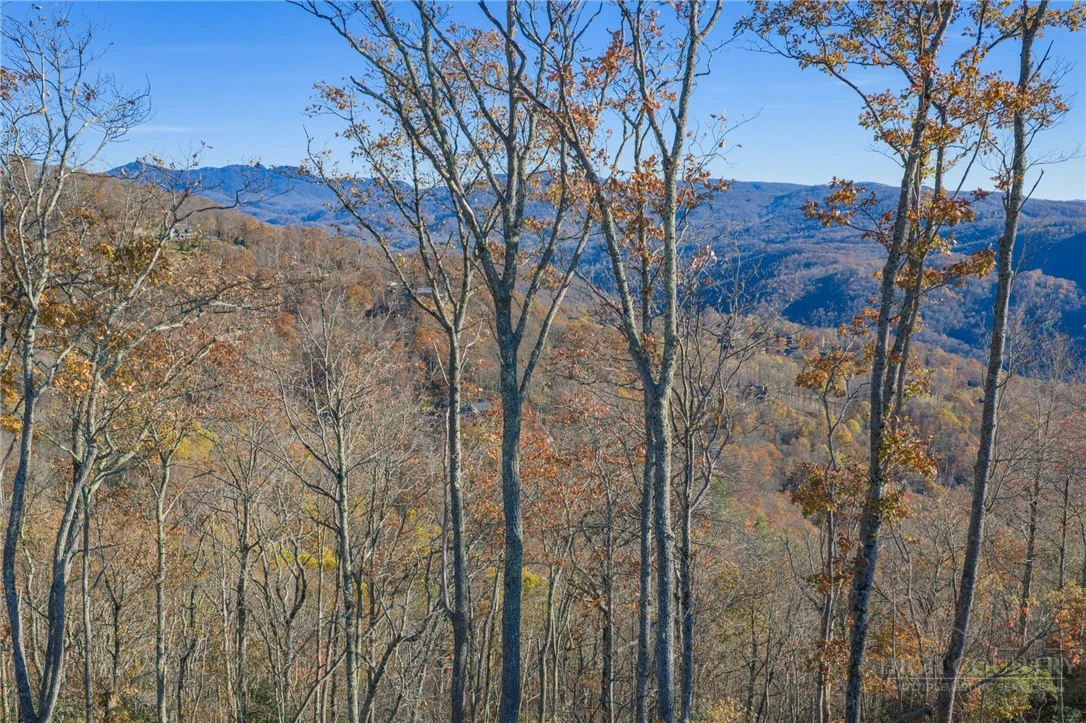 Image number 14 for the current listing