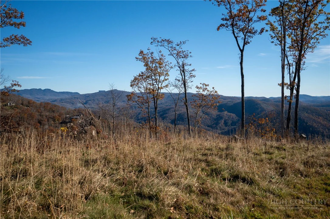 Image number 2 for the current listing