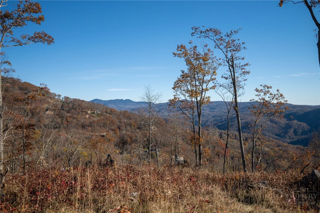 Image number 7 for the current listing