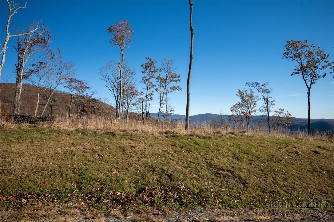 Image number 8 for the current listing