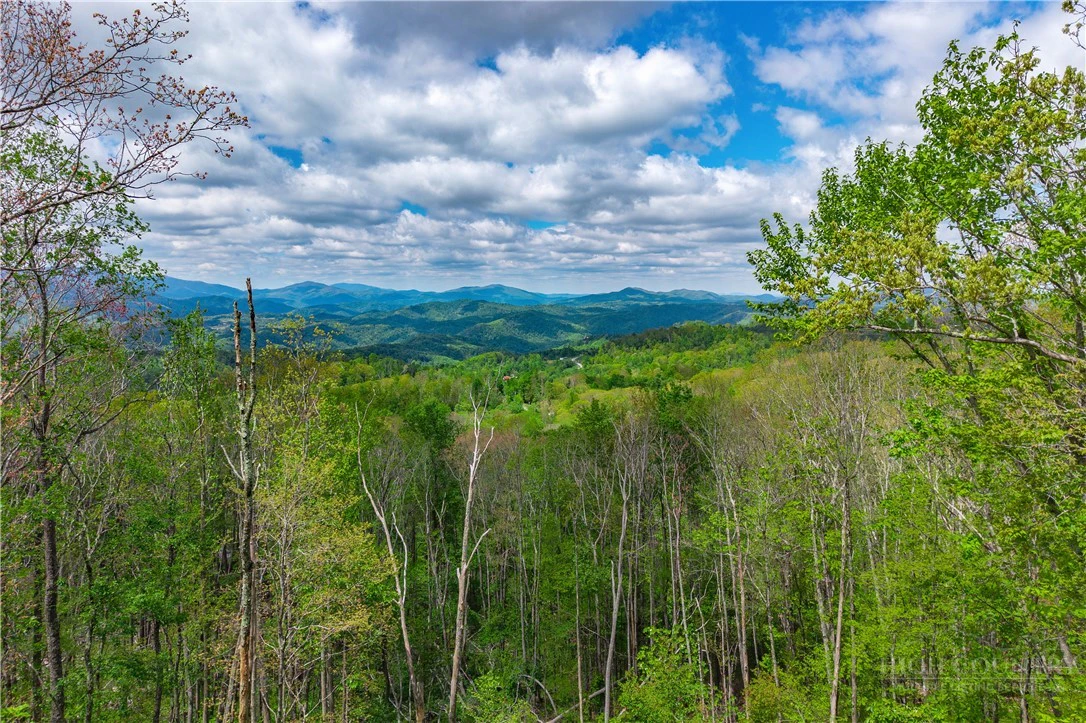 Image number 1 for the current listing