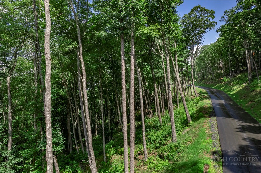 Image number 2 for the current listing