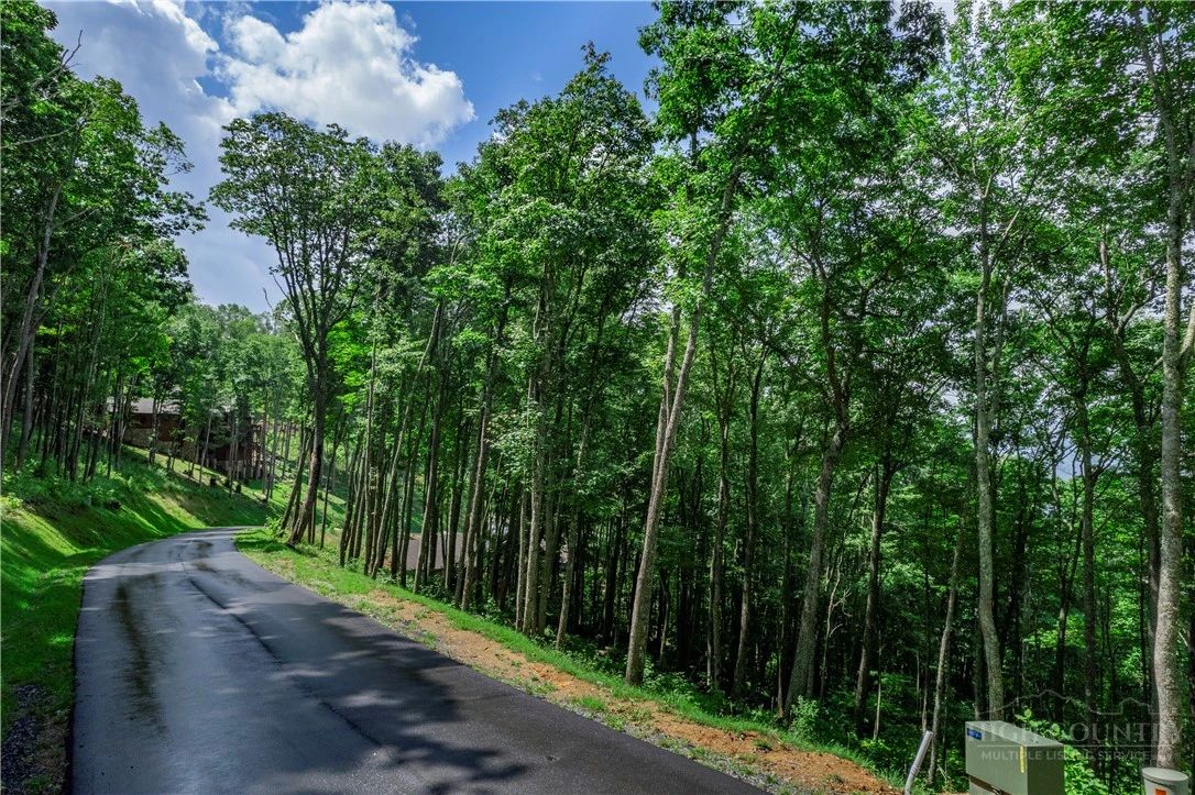 Image number 3 for the current listing