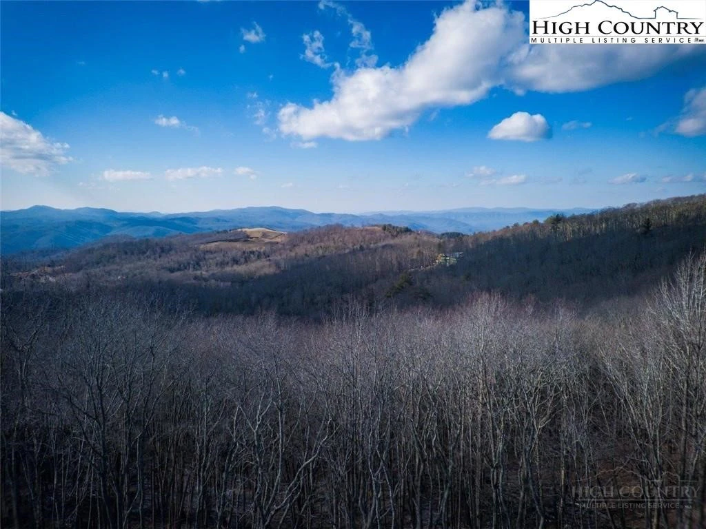 Image number 5 for the current listing